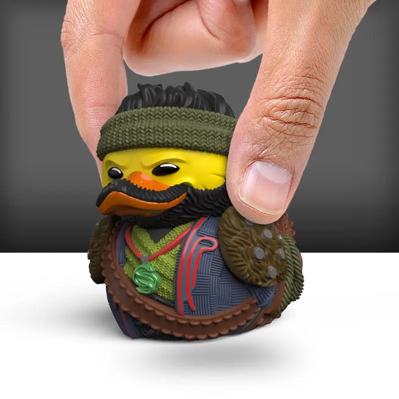 Canard Destiny