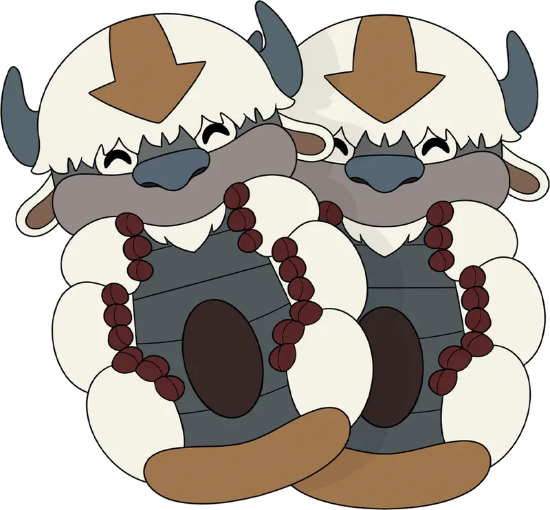 Chaussons Appa