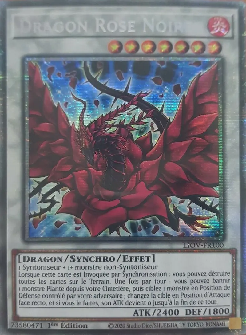 Dragon Rose Noire