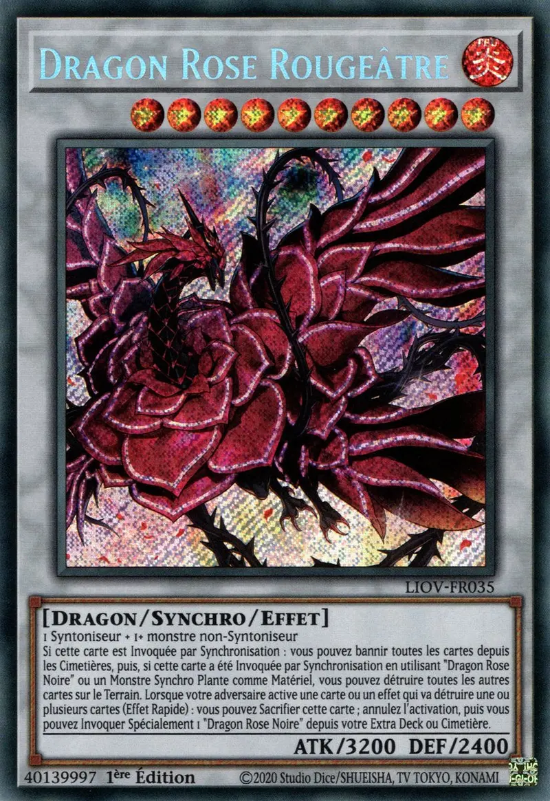 Dragon Rose Rougeâtre