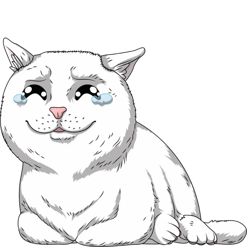 Figurine Crying Cat