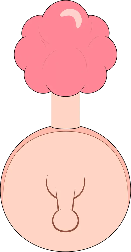 Plumbus Plush (9in)