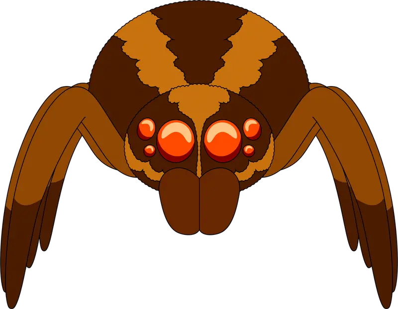 Wolf Spider Plush (9in)